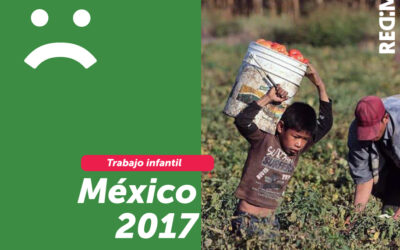 Trabajo infantil en México 2017